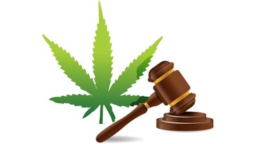 Marijuana Laws