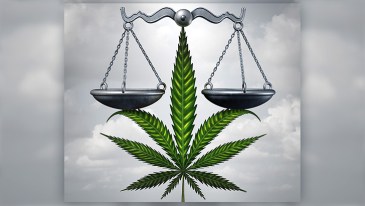 Marijuana Justice Scales